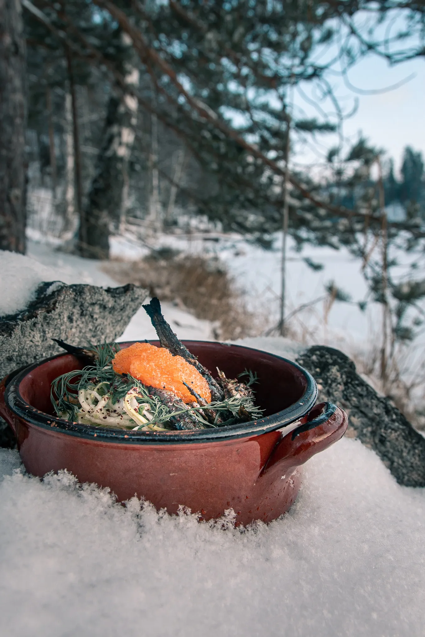 Punainen kattila lumella, jossa on valmistettu kalaa, tilliä ja oranssi kalanmuna-annos ulkona talvimaisemassa.